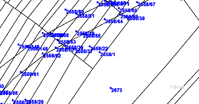 Parcela st. 2558/1 v KÚ Březník, Katastrální mapa