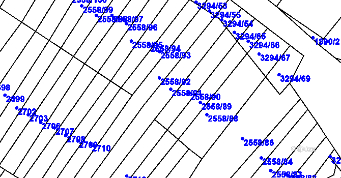 Parcela st. 2558/91 v KÚ Březník, Katastrální mapa
