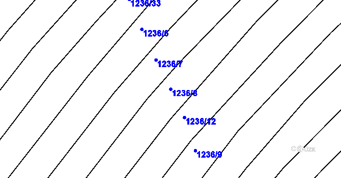 Parcela st. 1236/8 v KÚ Březník, Katastrální mapa