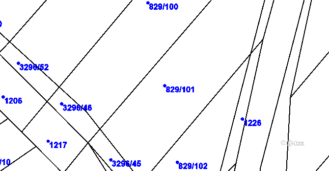 Parcela st. 829/101 v KÚ Březník, Katastrální mapa