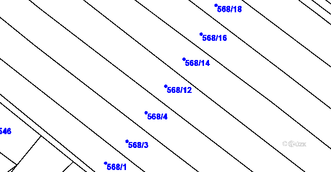 Parcela st. 568/12 v KÚ Kuroslepy, Katastrální mapa