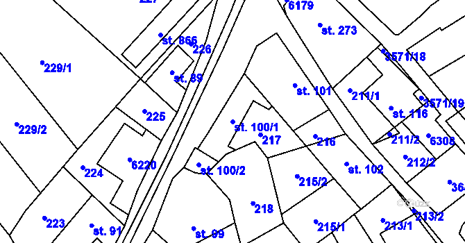 Parcela st. 100/1 v KÚ Březolupy, Katastrální mapa