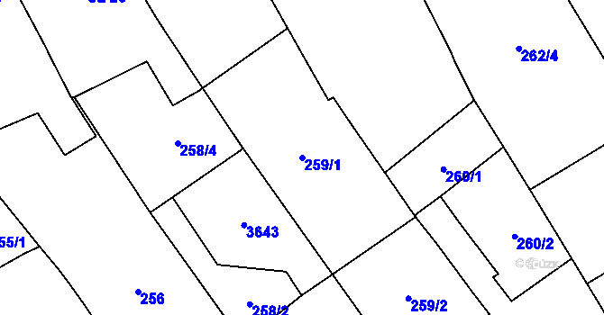 Parcela st. 259/1 v KÚ Březolupy, Katastrální mapa