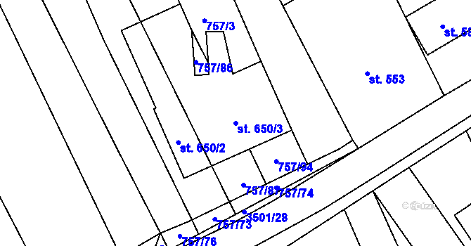 Parcela st. 650/3 v KÚ Březolupy, Katastrální mapa