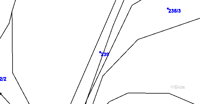 Parcela st. 239 v KÚ Česká Dlouhá, Katastrální mapa