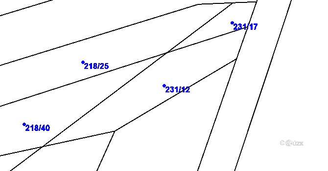 Parcela st. 231/12 v KÚ Březovice, Katastrální mapa