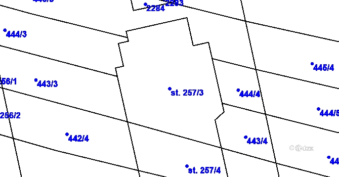Parcela st. 257/3 v KÚ Břilice, Katastrální mapa