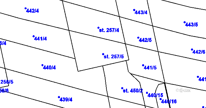 Parcela st. 257/5 v KÚ Břilice, Katastrální mapa