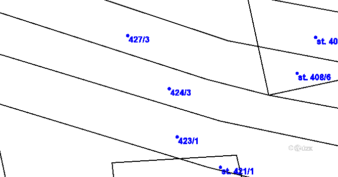 Parcela st. 424/3 v KÚ Břilice, Katastrální mapa