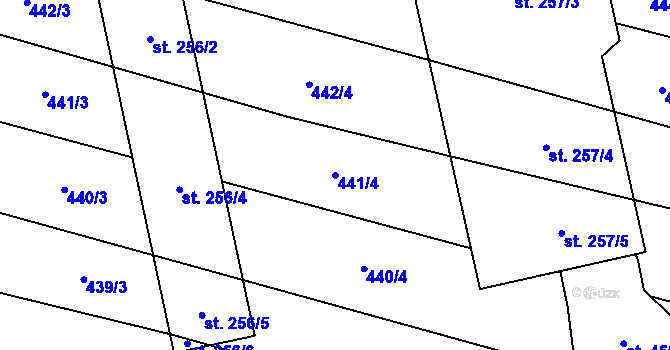 Parcela st. 441/4 v KÚ Břilice, Katastrální mapa
