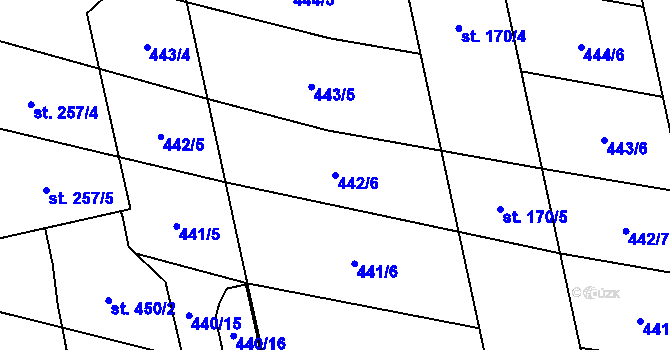 Parcela st. 442/6 v KÚ Břilice, Katastrální mapa
