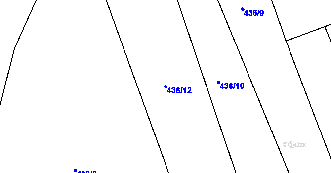 Parcela st. 436/12 v KÚ Břvany, Katastrální mapa