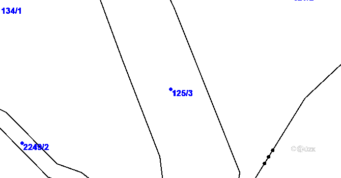 Parcela st. 125/3 v KÚ Bublava, Katastrální mapa