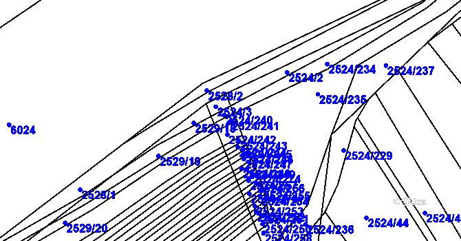 Parcela st. 2524/241 v KÚ Bučovice, Katastrální mapa