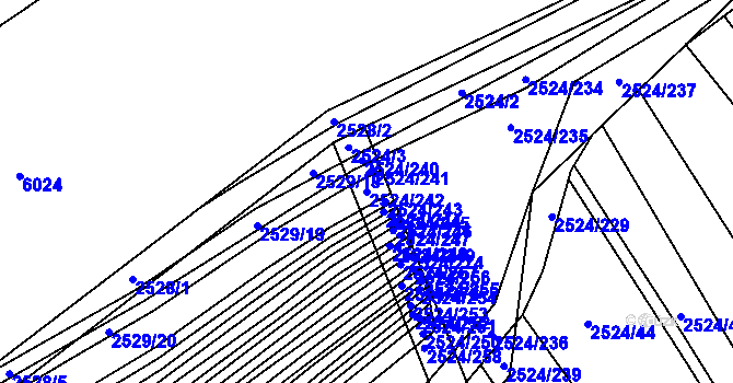 Parcela st. 2524/242 v KÚ Bučovice, Katastrální mapa