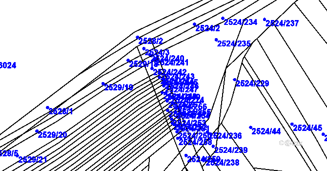 Parcela st. 2524/247 v KÚ Bučovice, Katastrální mapa