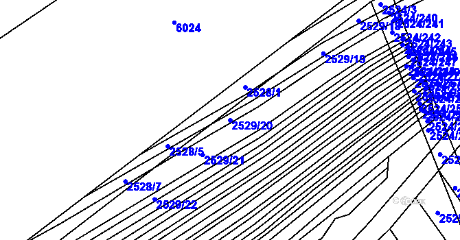Parcela st. 2529/20 v KÚ Bučovice, Katastrální mapa