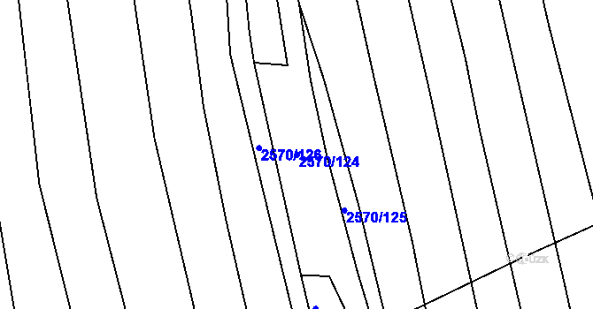 Parcela st. 2570/124 v KÚ Bučovice, Katastrální mapa