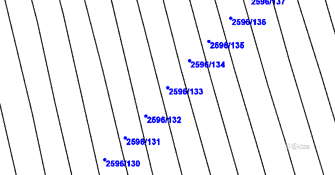 Parcela st. 2596/133 v KÚ Bučovice, Katastrální mapa