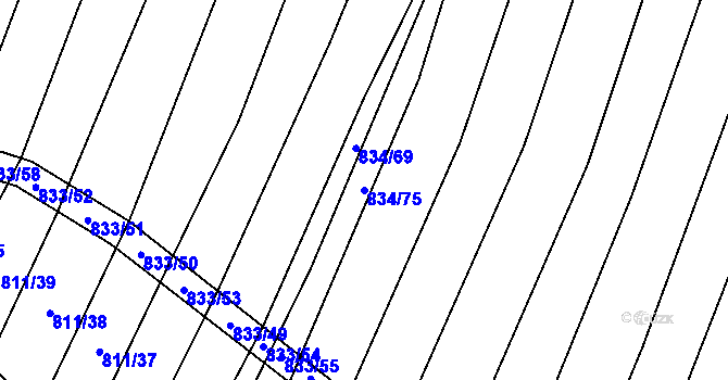Parcela st. 834/75 v KÚ Vícemilice, Katastrální mapa