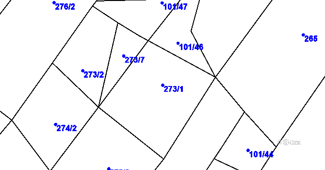 Parcela st. 273/1 v KÚ Budíkov, Katastrální mapa