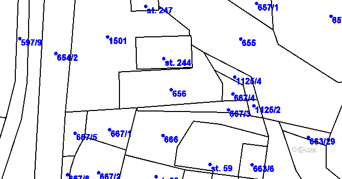 Parcela st. 656 v KÚ Budíkov, Katastrální mapa