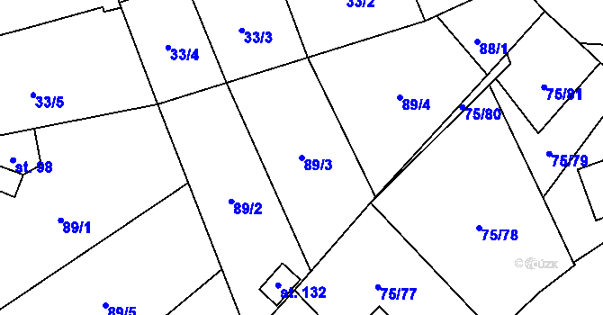 Parcela st. 89/3 v KÚ Budíkovice, Katastrální mapa