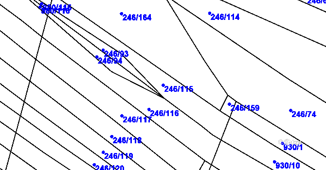 Parcela st. 246/115 v KÚ Budkovice, Katastrální mapa