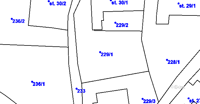 Parcela st. 229/1 v KÚ Suchdol u Bujanova, Katastrální mapa
