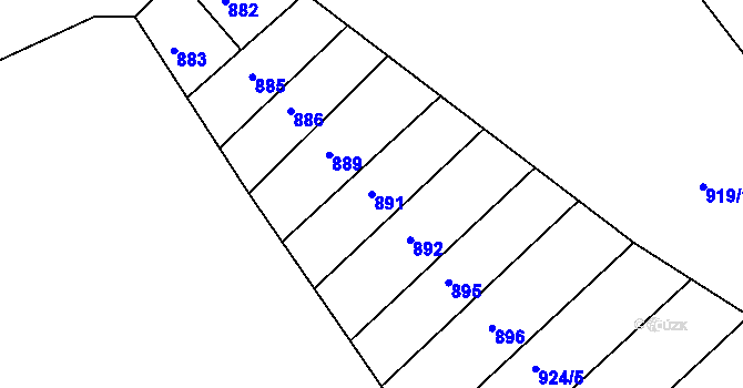Parcela st. 891 v KÚ Bujesily, Katastrální mapa