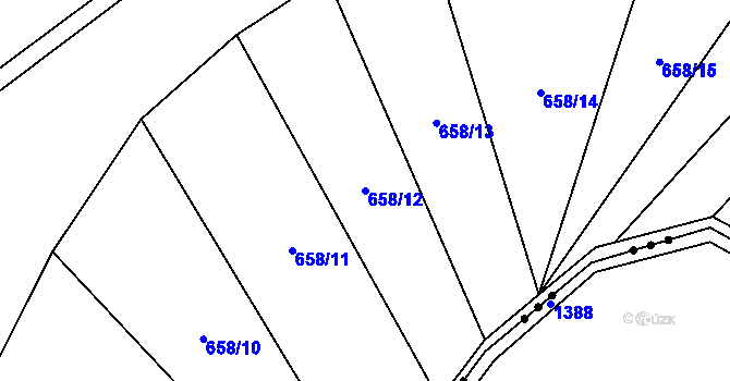 Parcela st. 658/12 v KÚ Buková u Protivanova, Katastrální mapa