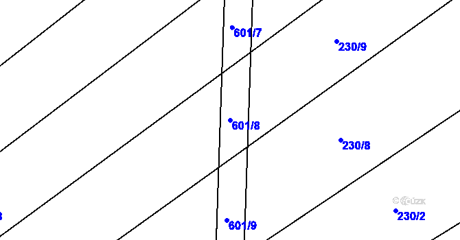 Parcela st. 601/8 v KÚ Bukovina u Přelouče, Katastrální mapa