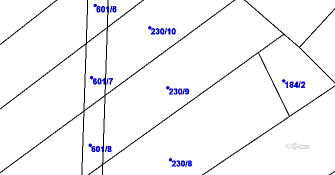 Parcela st. 230/9 v KÚ Bukovina u Přelouče, Katastrální mapa