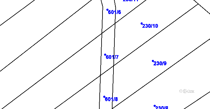 Parcela st. 601/7 v KÚ Bukovina u Přelouče, Katastrální mapa