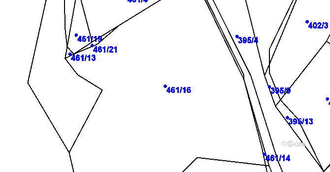 Parcela st. 461/16 v KÚ Radějov u Buřenic, Katastrální mapa