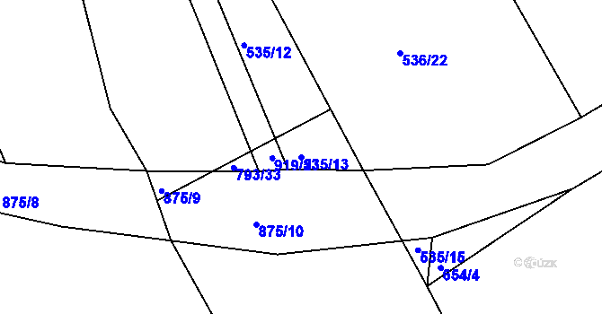 Parcela st. 535/13 v KÚ Radějov u Buřenic, Katastrální mapa