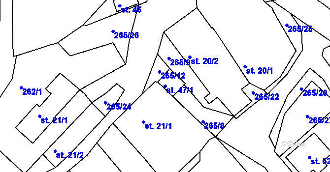Parcela st. 47/1 v KÚ Dolní Nakvasovice, Katastrální mapa