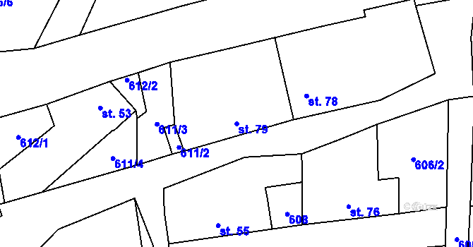 Parcela st. 79 v KÚ Buzice, Katastrální mapa