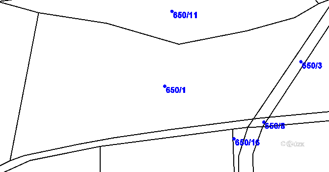 Parcela st. 650/1 v KÚ Buzice, Katastrální mapa