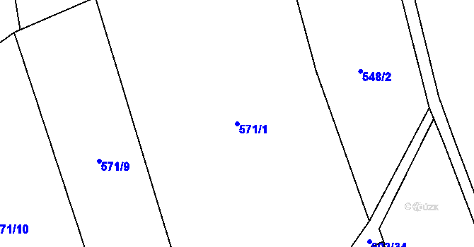 Parcela st. 571/1 v KÚ Buzice, Katastrální mapa