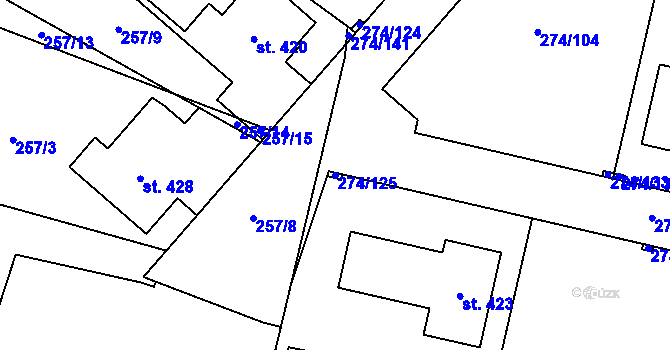 Parcela st. 274/125 v KÚ Býchory, Katastrální mapa