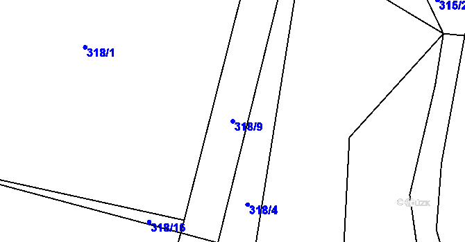 Parcela st. 318/9 v KÚ Lány u Bylan, Katastrální mapa