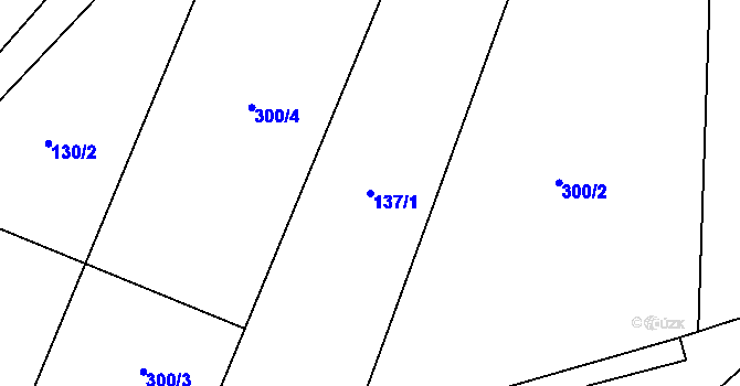 Parcela st. 137/1 v KÚ Bystré v Orlických horách, Katastrální mapa