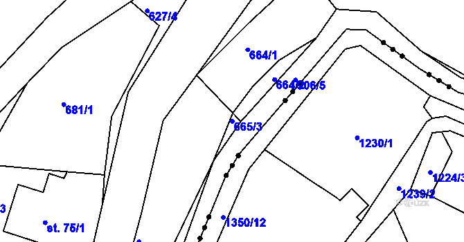 Parcela st. 665/3 v KÚ Bystré v Orlických horách, Katastrální mapa