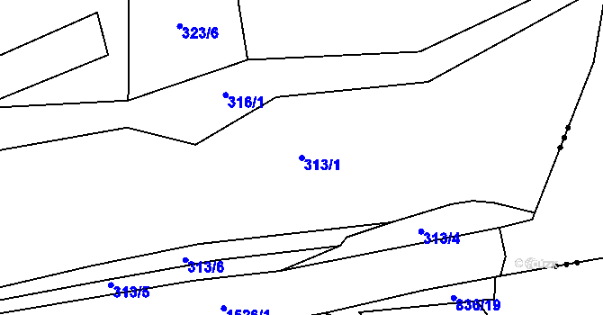 Parcela st. 313/1 v KÚ Jírovice, Katastrální mapa