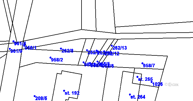 Parcela st. 262/10 v KÚ Nesvačily u Bystřice, Katastrální mapa