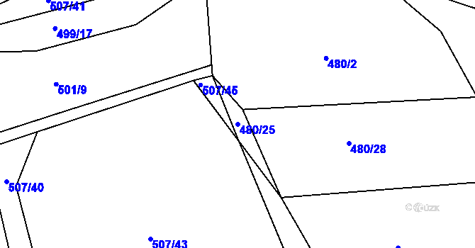 Parcela st. 480/25 v KÚ Nesvačily u Bystřice, Katastrální mapa
