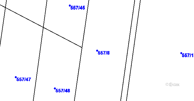 Parcela st. 557/8 v KÚ Nesvačily u Bystřice, Katastrální mapa