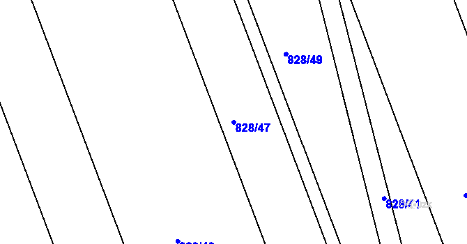 Parcela st. 828/47 v KÚ Nesvačily u Bystřice, Katastrální mapa