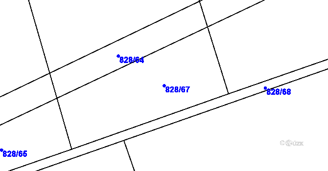 Parcela st. 828/67 v KÚ Nesvačily u Bystřice, Katastrální mapa